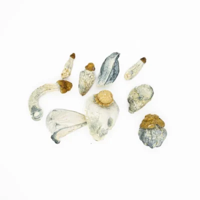 SHROOMS - BLUEY VUTTON